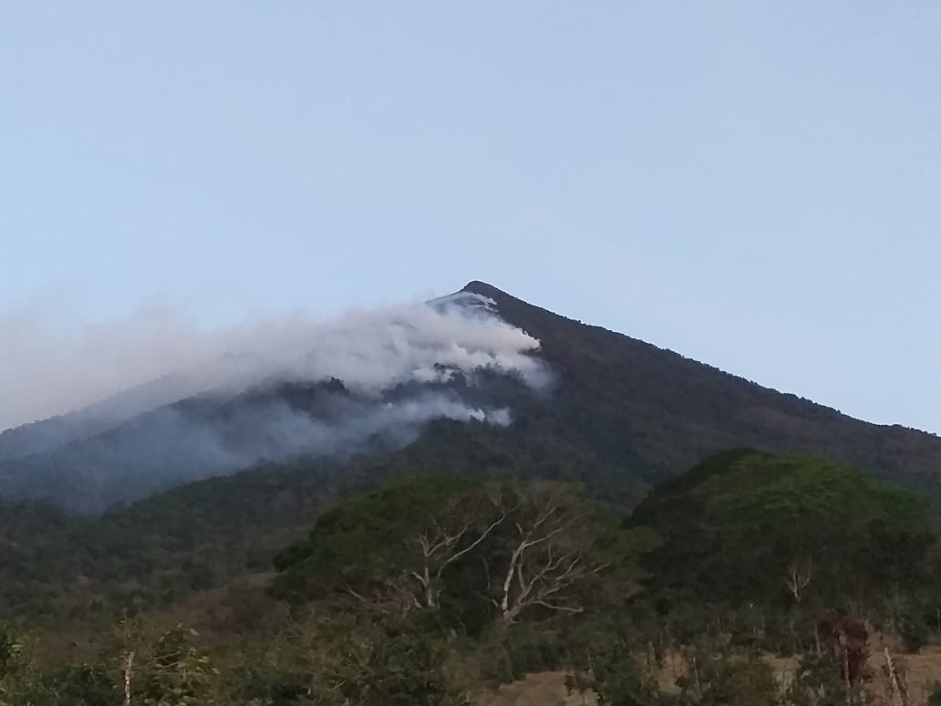 Un incendio forestal en el volcán Atitlán, Sololá, es combatido por brigadas de varias instituciones. (Foto: Conred)
