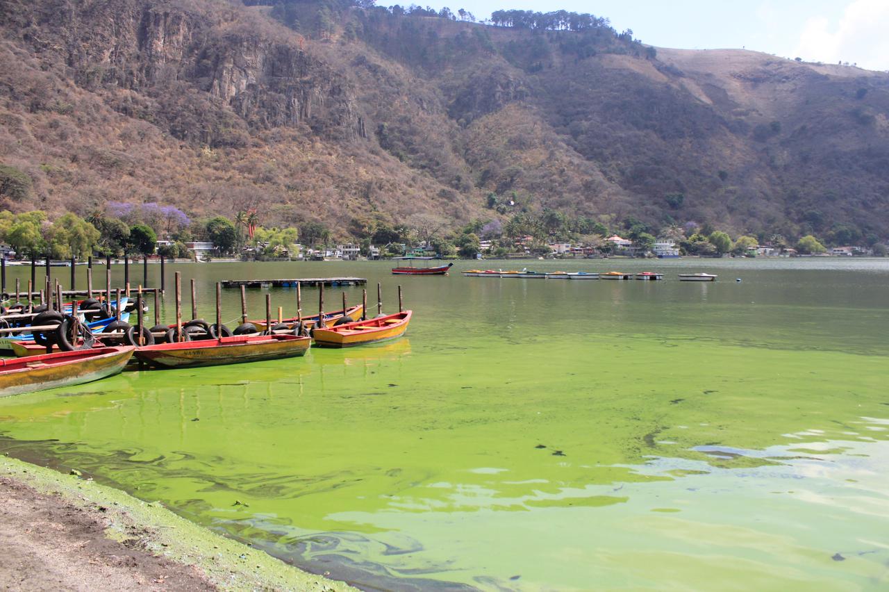 Presencia de algas torna el lago de Amatitlán en un color verde. (Foto: Elmer Vargas)