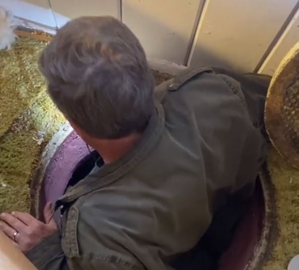 Una mujer residente en California, Estados Unidos, recién descubrió en su casa un escondite bajo su casa el cual se construyó durante la década de 1950 en plena Guerra Fría. (Foto Prensa Libre: Captura de video de TikTok)