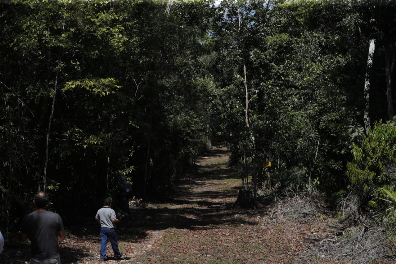 Las concesiones se ubican en la Reserva de la Biosfera Maya, que tiene más de dos millones de hectáreas. (Foto: Presidencia)
