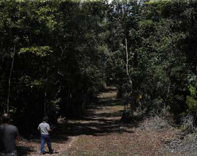 Reserva de la Biosfera Maya: Comunidades reciben ampliación de 25 años para el manejo del bosque