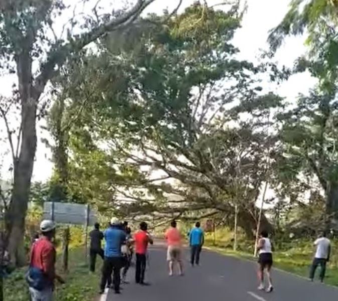 Derriban un árbol sobre la ruta: Sigue la tensión en Malacatán por falta del servicio de energía (y qué responde Energuate)