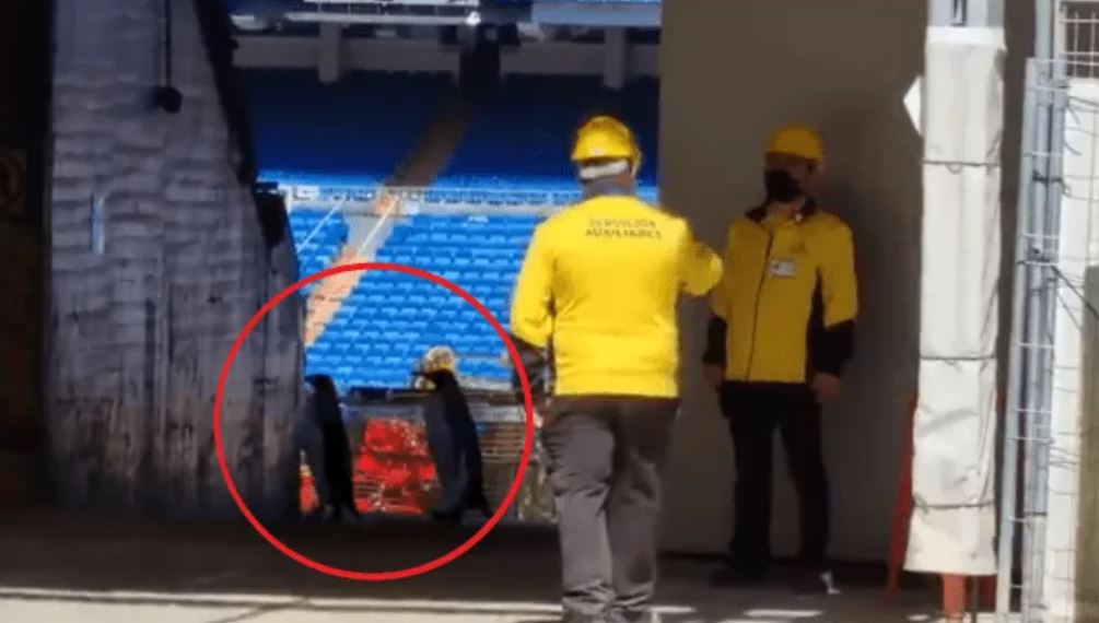 “Los pingüinos del Bernabéu”: el video de dos “invasores” en el estadio del Real Madrid provoca lluvia de críticas a varios jugadores del club merengue