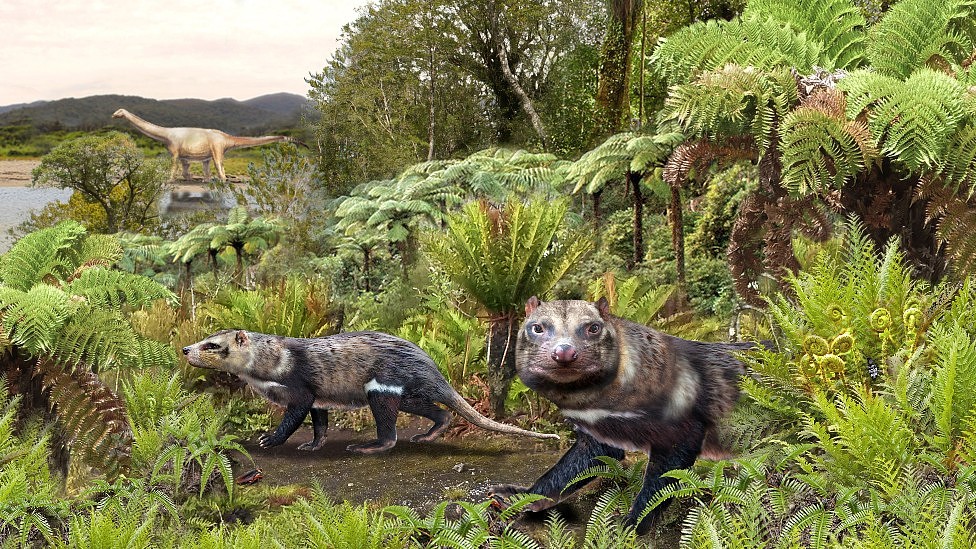 Así era la “bestia de cinco dientes”, el mamífero de la era de los dinosaurios descubierto en la Patagonia chilena