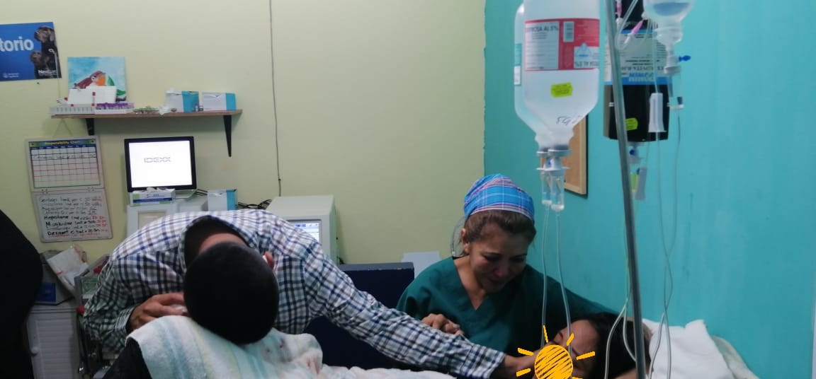 La mujer, que no fue identificada en la publicación, fue atendida por los médicos veterinarios el pasado 22 de abril. (Foto Prensa Libre: Vivian Marroquín / Facebook)