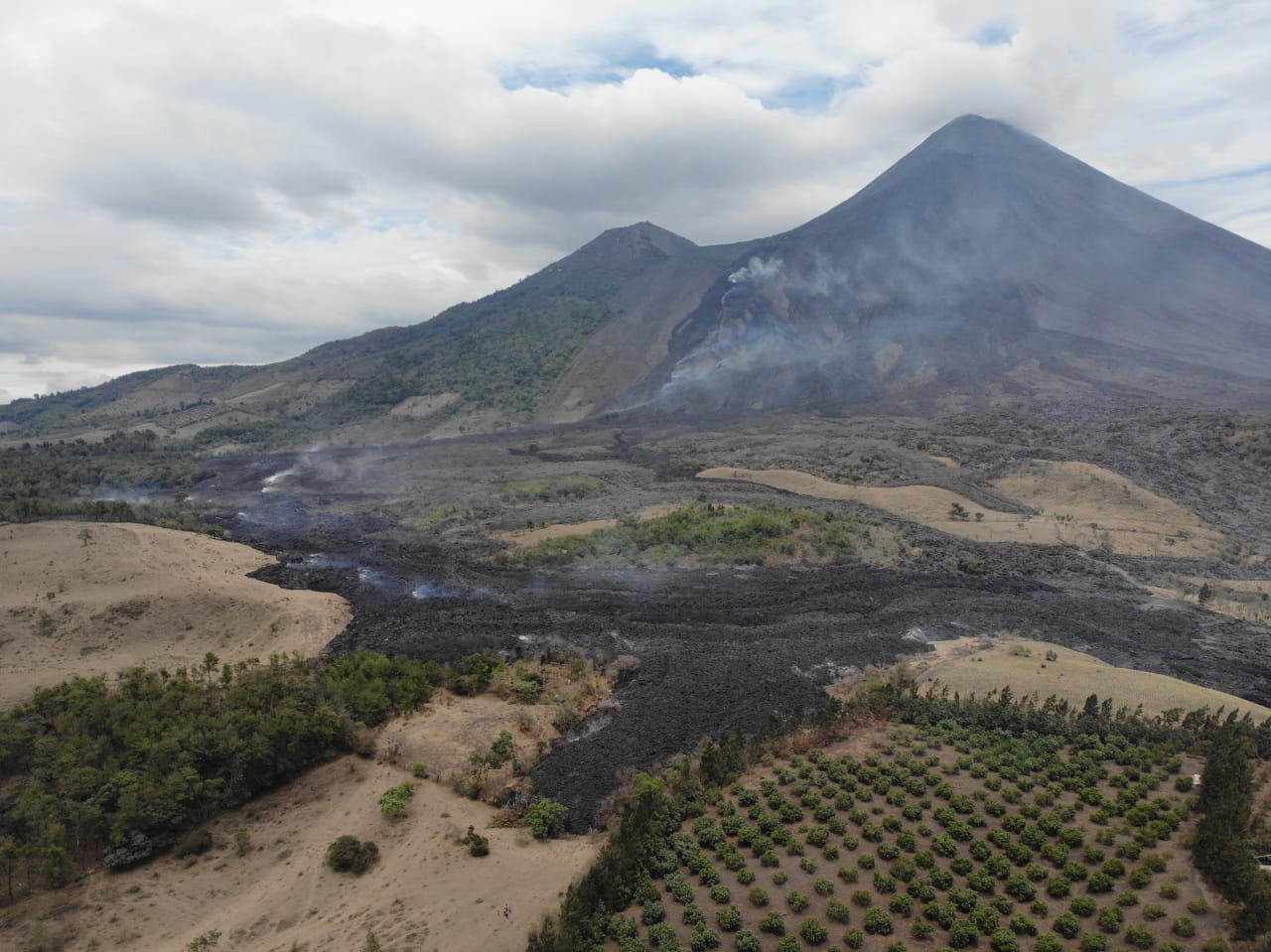 EL flujo de lava del volcán Pacaya avanza sobre plantaciones de café. (Foto Prensa Libre: Conred)