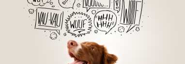 El ladrido es una forma de comunicación de los caninos.  (Foto Prensa Libre: Shutterstock).