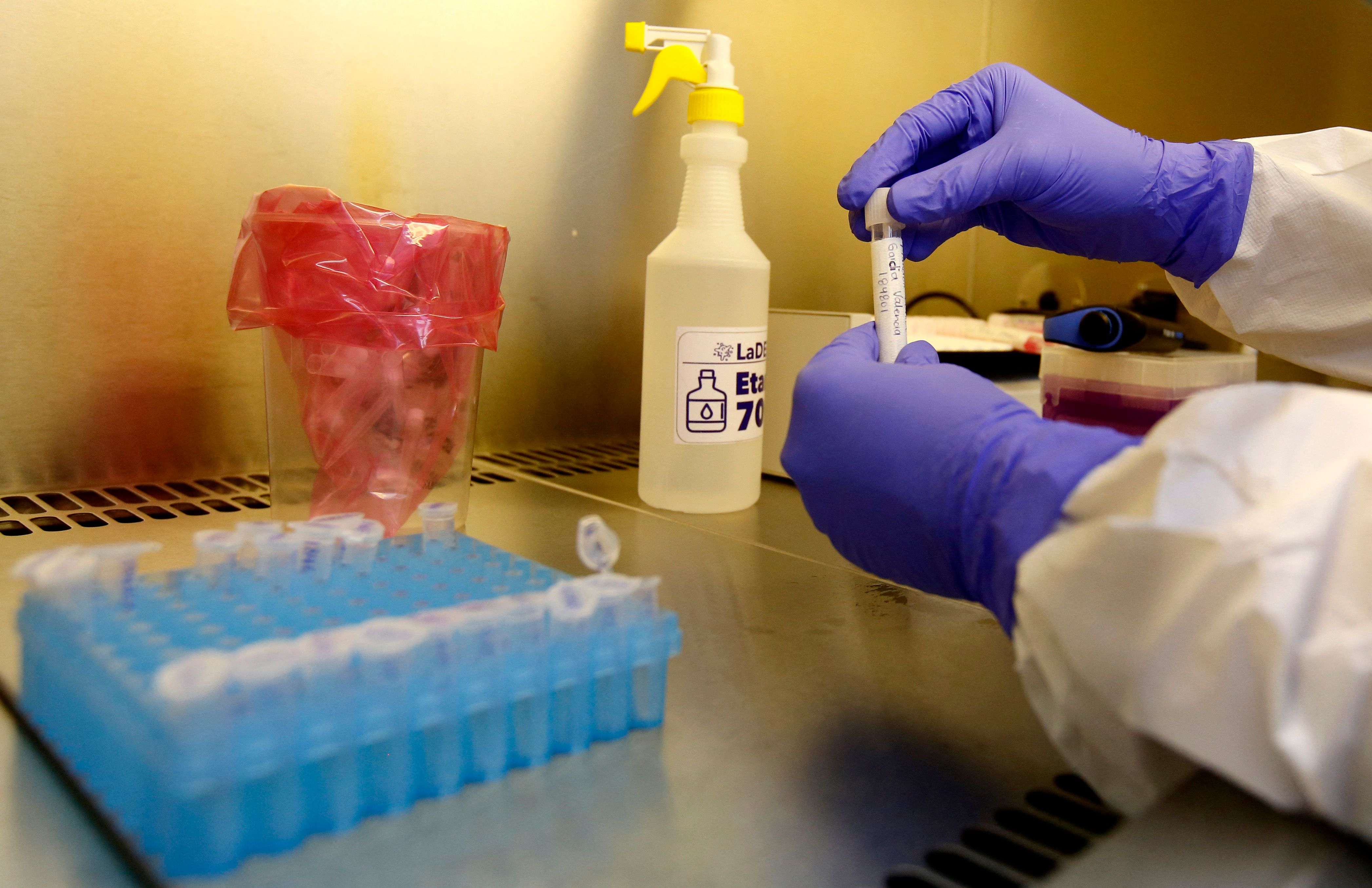 Varios centros de investigación de Estados Unidos y de Alemania estudian la nueva variante del SARS-CoV-2. (Foto: Hemeroteca PL)