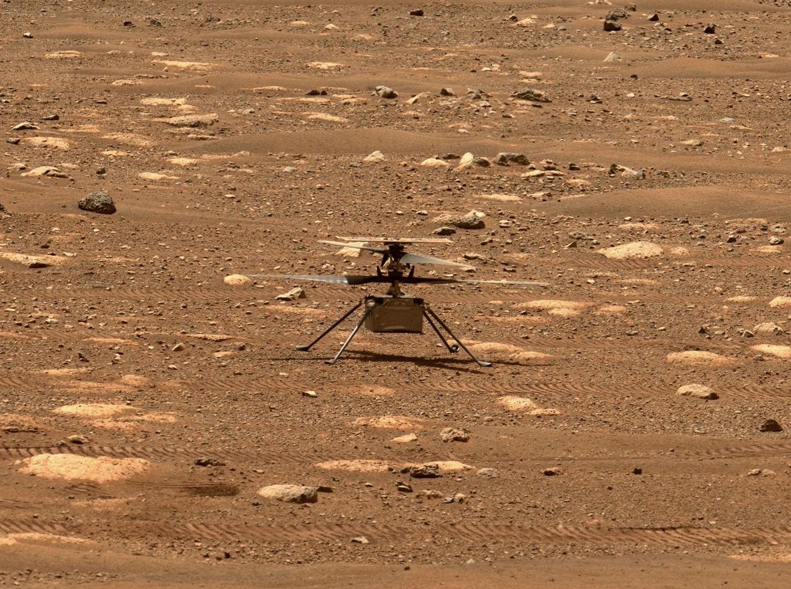 Esta foto de la NASA muestra  al helicóptero Ingenuity desplegando sus hélices del rotor. (Foto Prensa Libre: AFP)