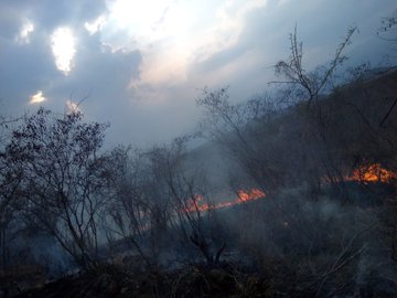 El 9 de abril se registró un incendio forestal en Zacapa. (Foto, Prensa Libre: Twitter Conred). 
