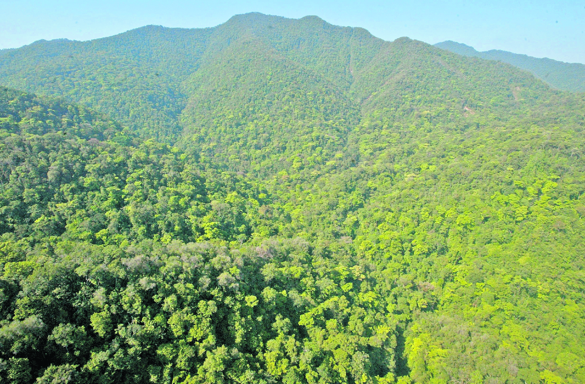 Guatemala es un país con riqueza de recursos ambientas y biodiversidad, y el desarrollo del país va de la mano de conservar dicha riqueza natural. (Foto Prensa Libre: Hemeroteca PL) 