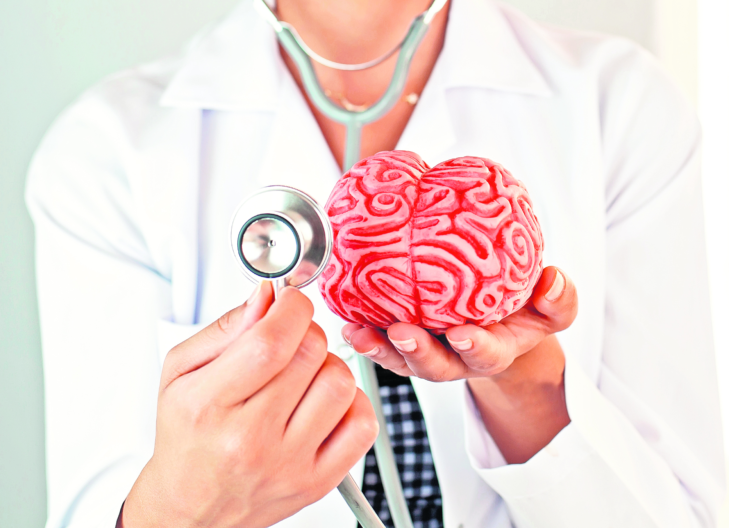 Cerebros sin arrugas por alimentos