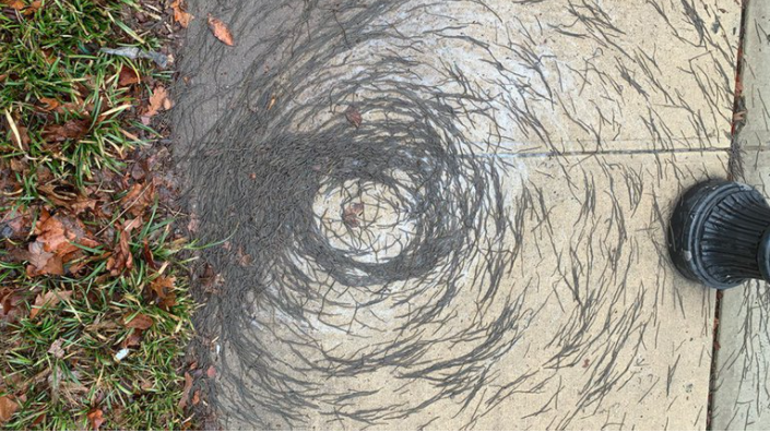 Los científicos no logran coincidir en porque esta especie mostró dicho comportamiento. Fotografía: Infobae. 