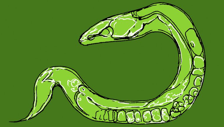 Desde el descubrimiento de la estructura del ADN, ha estado en el centro de todo tipo de descubrimientos extraordinarios sobre cómo funcionan y fallan nuestros cuerpos.