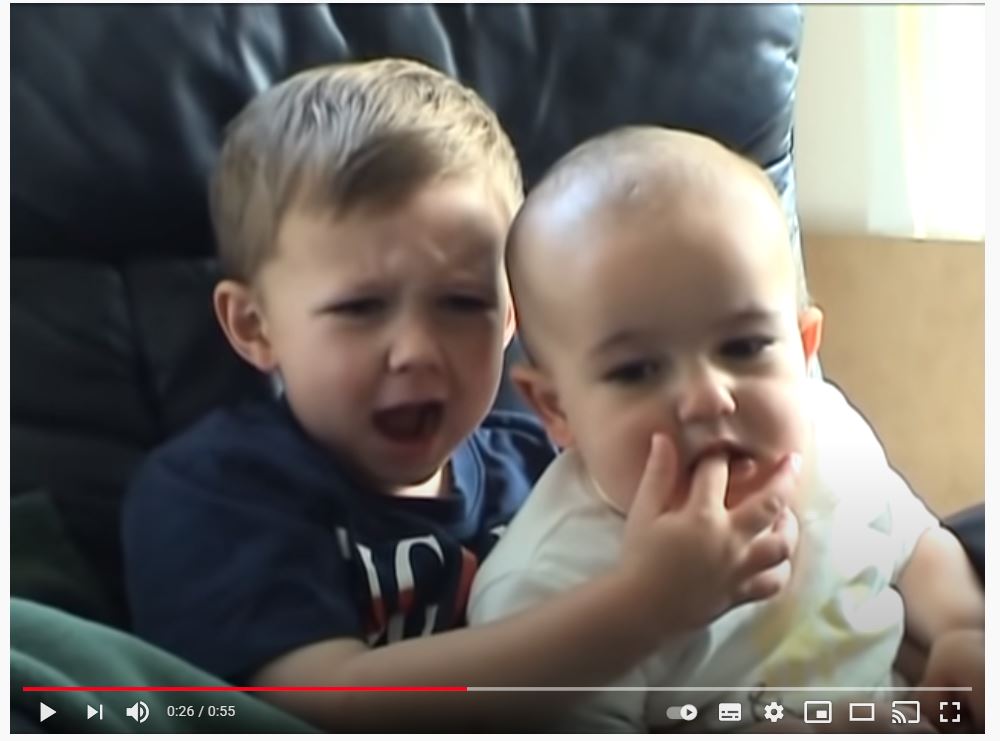 “Charlie bit my finger” es considerado el video viral más visto de la historia de YouTube. (Foto Prensa Libre: Captura de pantalla)