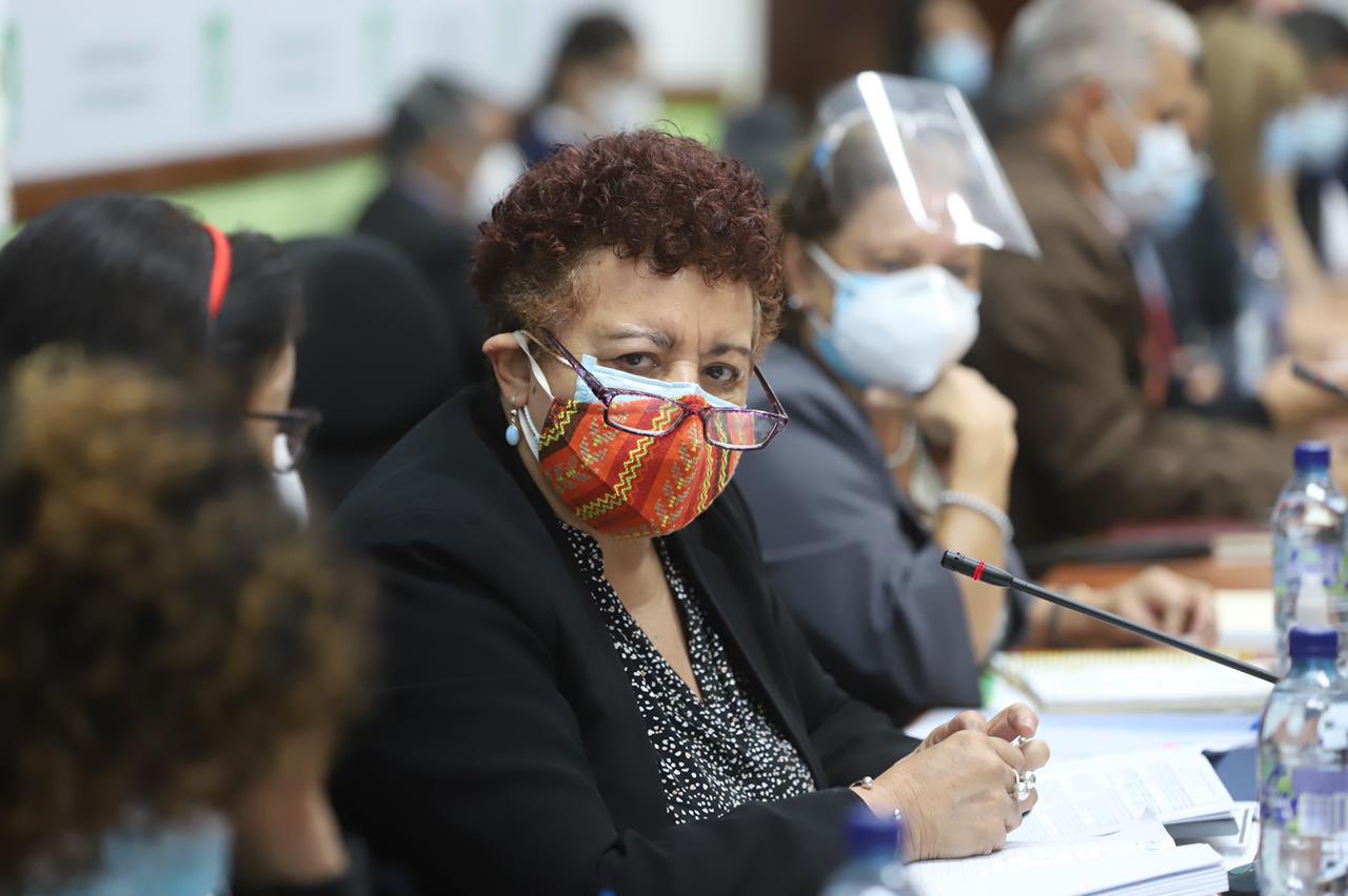 La ministra de Salud Amelia Flores responde preguntas de diputados en el Congreso de la República sobre la vacunación contra el coronavirus. (Foto Prensa Libre: UNE)