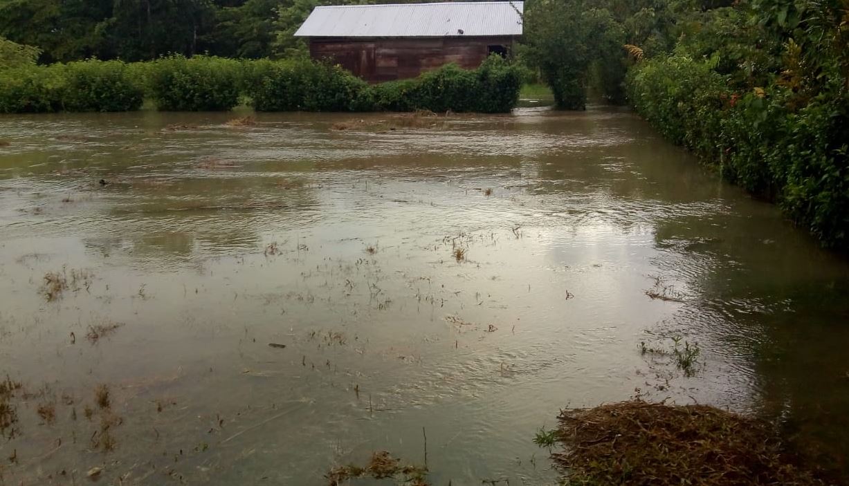 Vista de una de las áreas inundadas en Livington, Izabal, afectado por la lluvia. (Foto Prensa Libre: Conred)