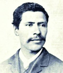 View of Image result for natural calming kitten products