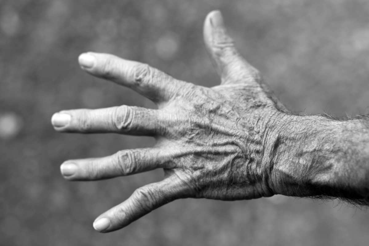 Asfixiados, golpeados y atados: Las torturas que sufrieron los abuelos del hogar para adultos mayores el “geriátrico del horror”