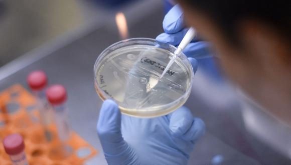 La variante inglesa del covid-19 es considerada como una de las más contagiosas y se ha propagado en más de 130 países. (Foto Prensa Libre: AFP)