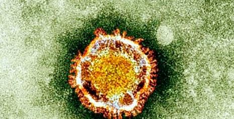 Nuevo descubrimiento ayudará a estudiar mejor el comportamiento del virus del covid-19. (Foto: AFP)