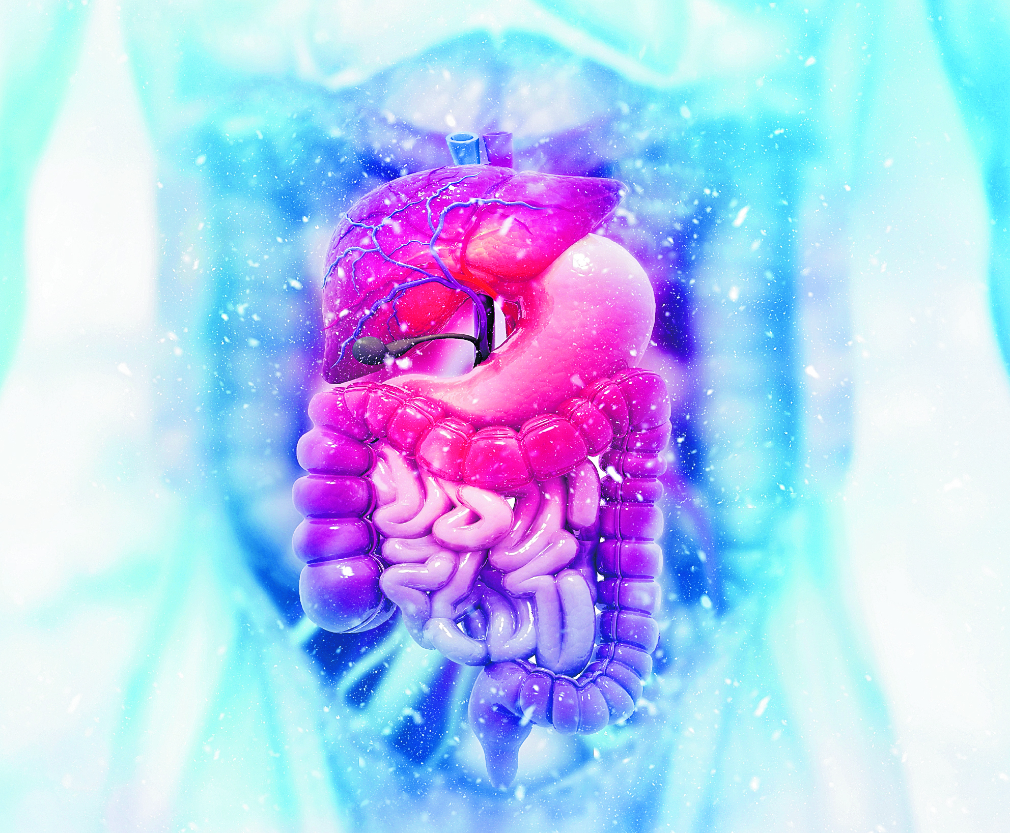 Alimentación saludable y actividad física, las claves para prevenir la enfermedad inflamatoria intestinal