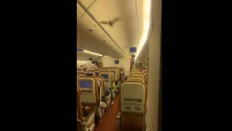 Murciélago en vuelo de Air India