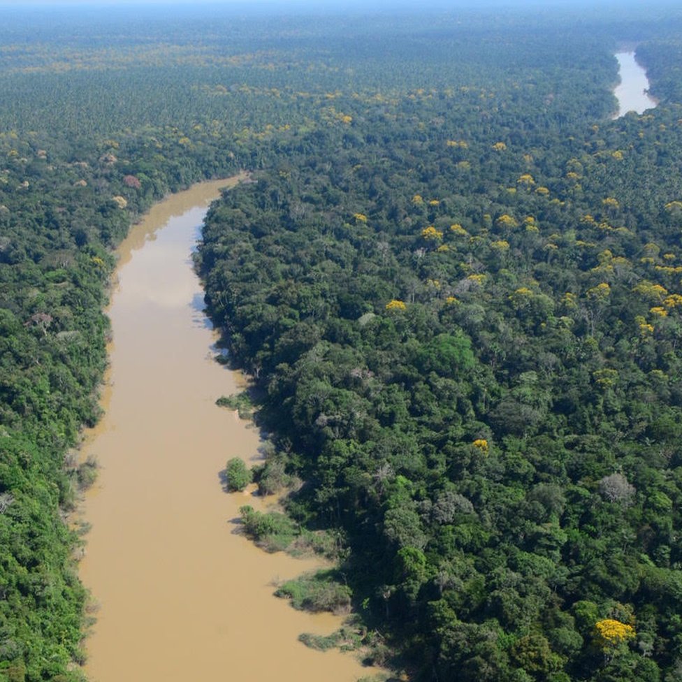 Los científicos estudiaron un área de la selva en el noreste de Perú.
