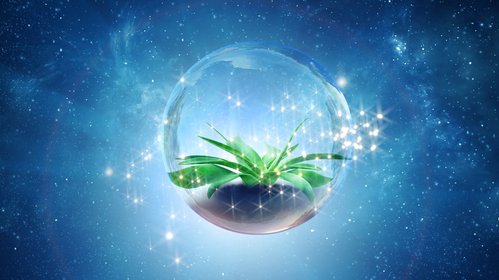 En el espacio están presentes varios de los ingredientes que hicieron posible que surgiera vida en la Tierra.