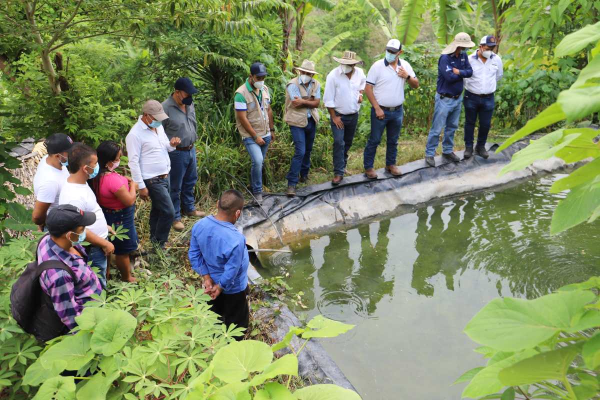 La FAO Guatemala ha contribuido con la implementación de proyectos de captación de agua de lluvia, principalmente en la provincia. (Foto Prensa Libre: Cortesía)