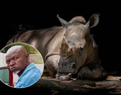 Matan a balazos al mayor cazador furtivo de rinocerontes en Sudáfrica y el ataque queda grabado