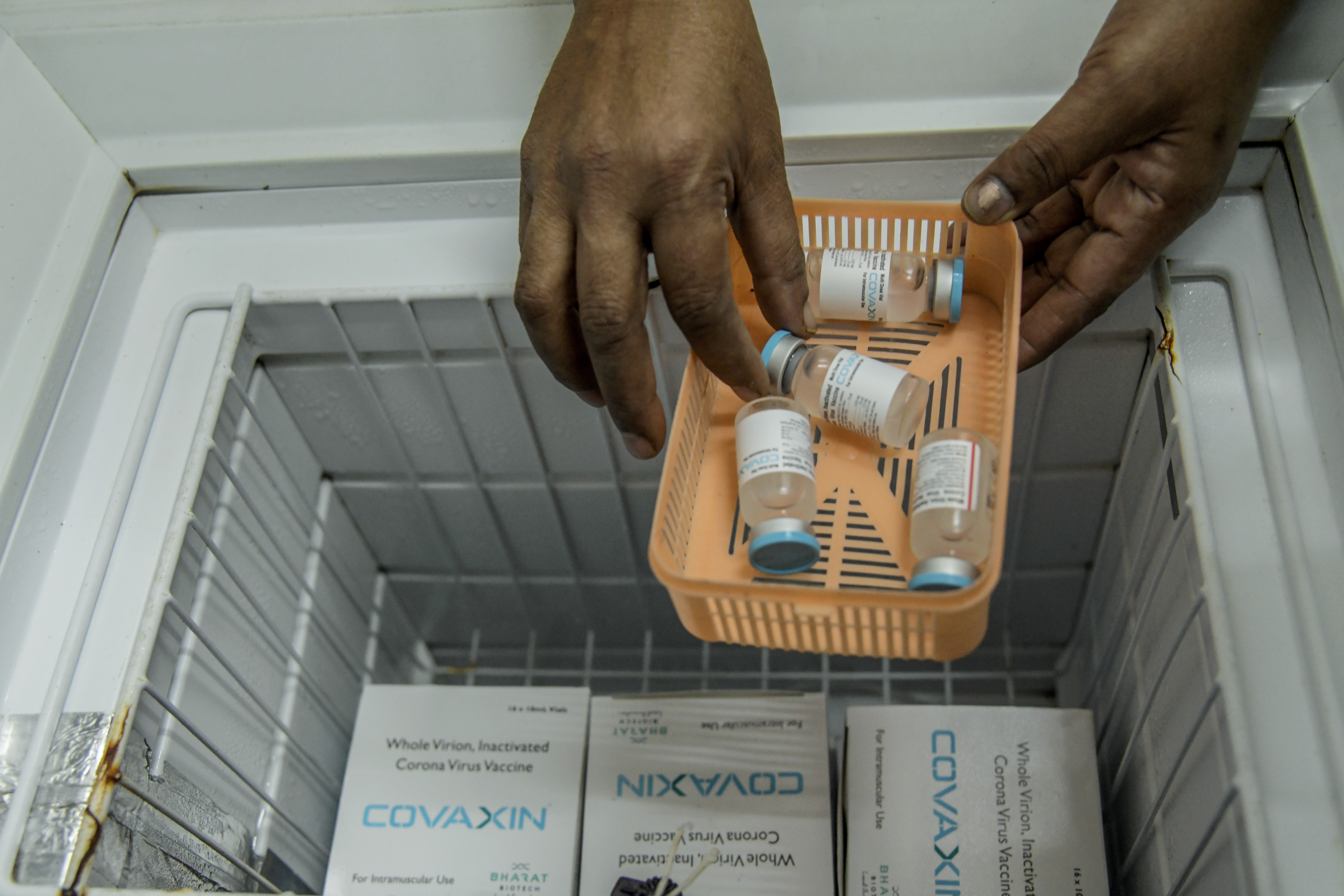 La vacuna de Covaxin, hecha en India y aprobada para usarse en ese país, pero no por la Organización Mundial de la Salud, en Pune, India, el 15 de enero de 2021. (Foto Prensa Libre: Atul Loke/The New York Times)