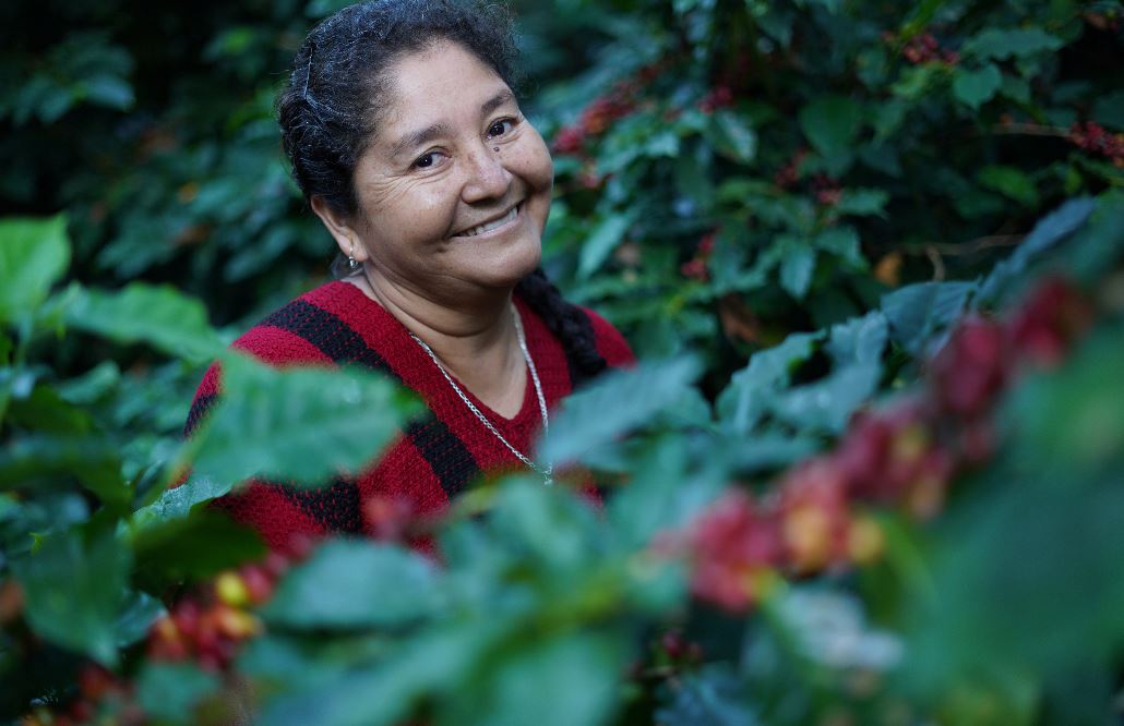 Elvia Monzón, productora de café en San Antonio Huista, Huehuetenango, recibirá un reconocimiento del IICA. (Foto Prensa Libre: Cortesía IICA)
