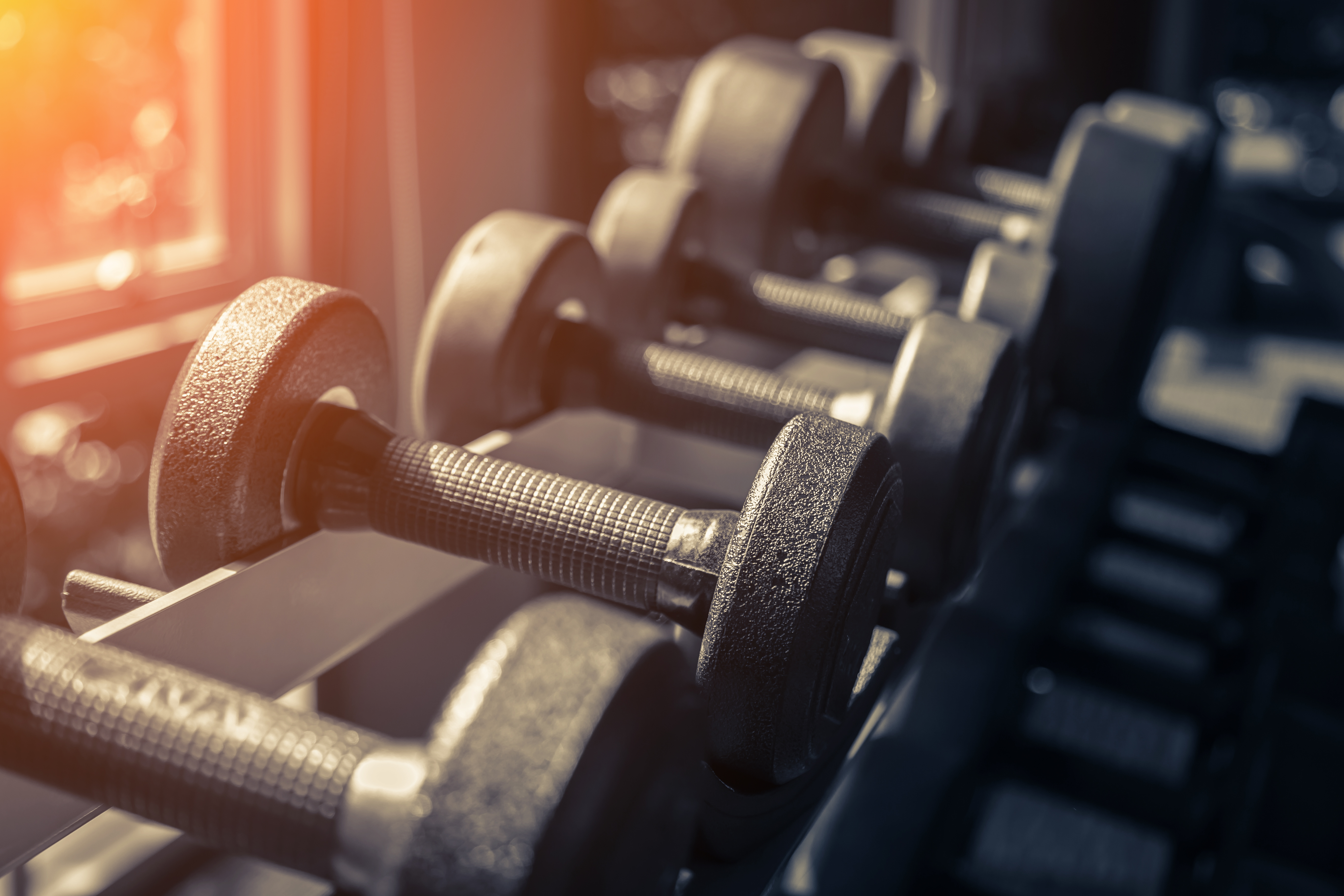 Las pesas ayudan a estimular los músculos, y también a fortalecer el sistema óseo. (Foto Prensa Libre: Shutterstock)