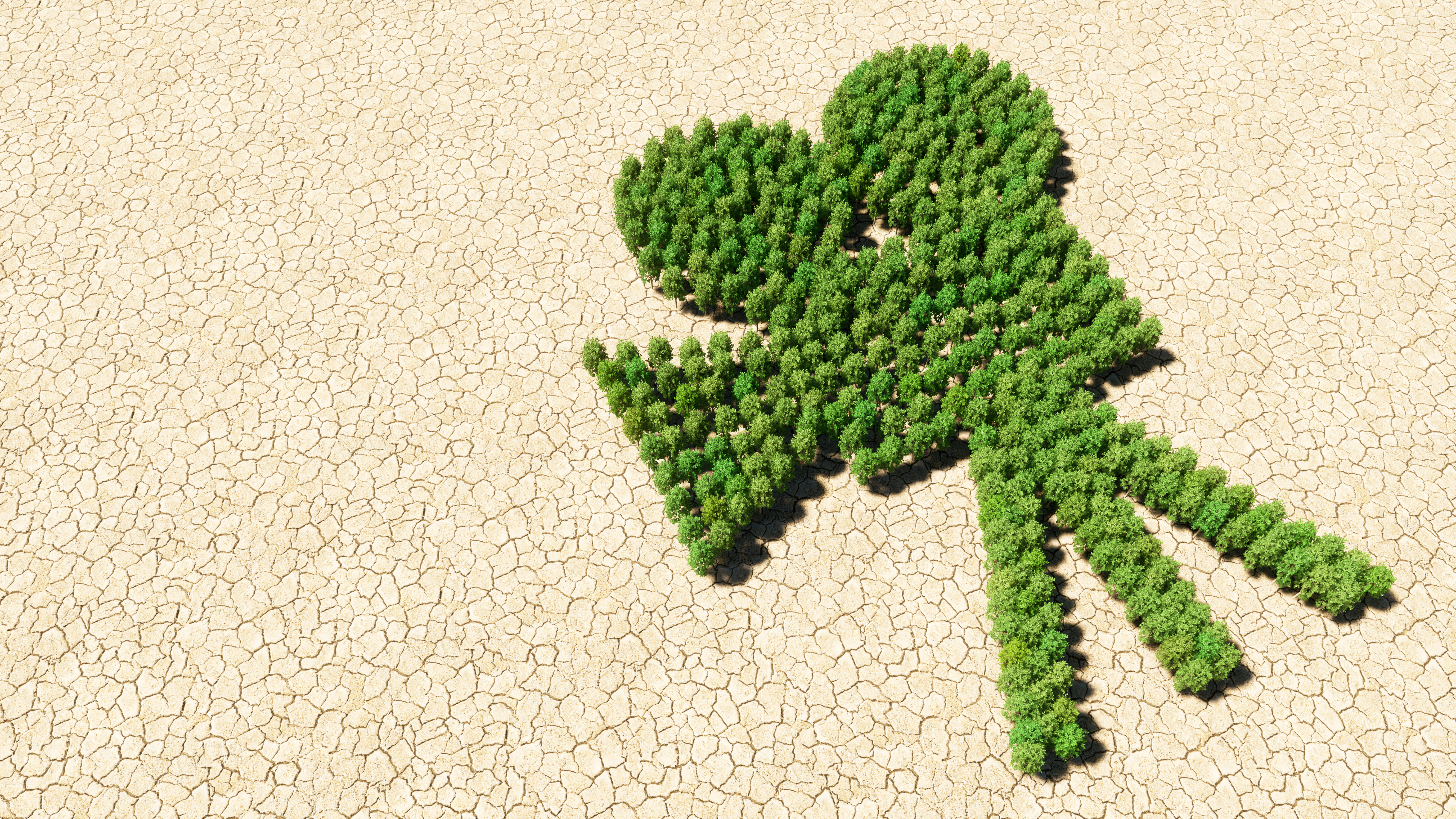 7 documentales en línea que abordan el cuidado medioambiental