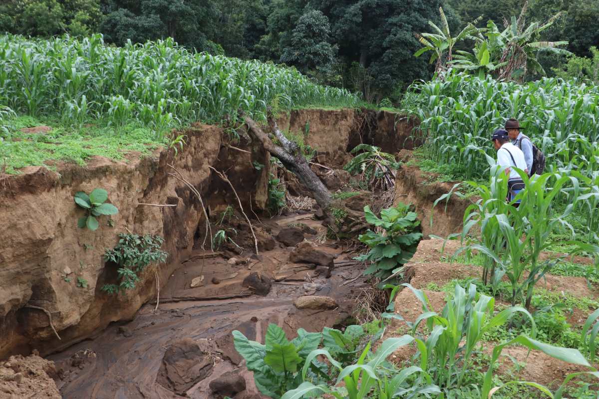 Libramiento de Chimaltenango: Agricultores exigen que se encaucen las aguas pluviales pues tienen pérdidas por inundaciones