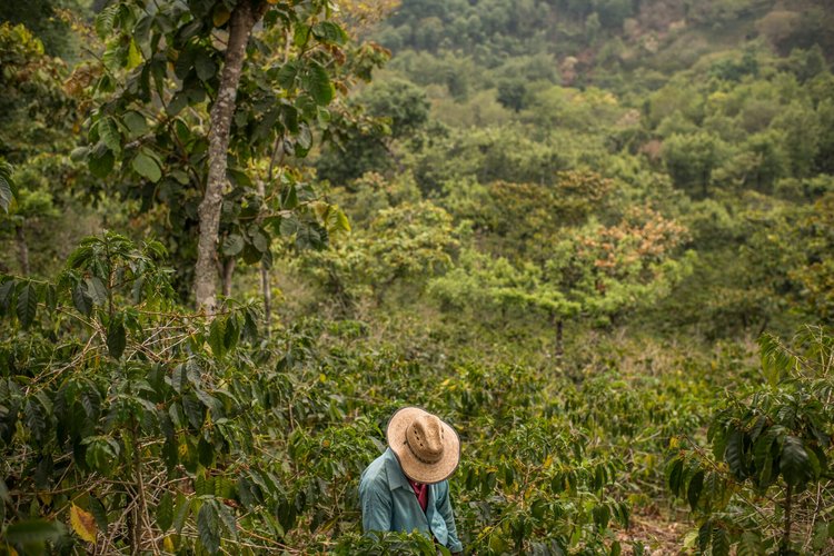 En Guatemala, los programas de ayuda no han cambiado la vida de los habitantes. (Foto Prensa Libre: The New York Times Company) 