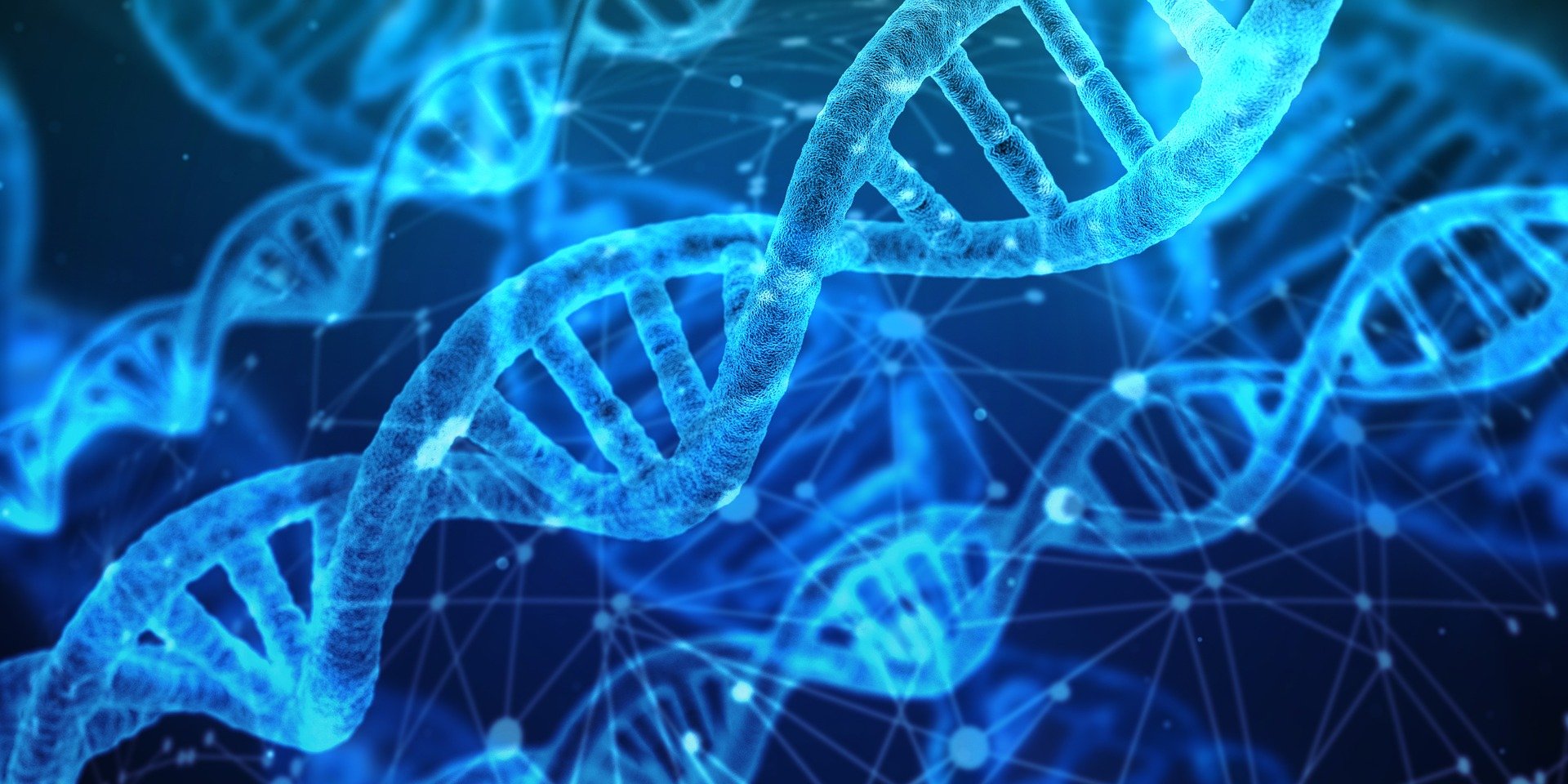 I-Familia se presenta como la primera base de datos mundial que permite identificar a desaparecidos mediante el cotejo internacional de perfiles genéticos con muestras de ADN de personas emparentadas entre sí. (Foto Prensa Libre: Pixabay)
