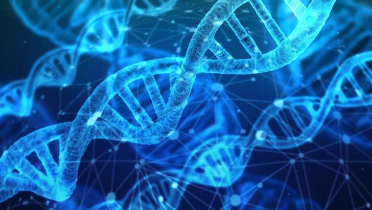 I-Familia se presenta como la primera base de datos mundial que permite identificar a desaparecidos mediante el cotejo internacional de perfiles genéticos con muestras de ADN de personas emparentadas entre sí. (Foto Prensa Libre: Pixabay)