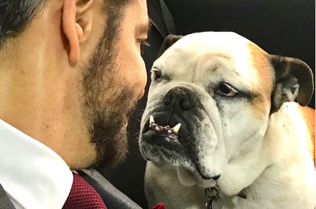 El actor suele compartir en sus redes sociales los momentos que pasa junto a su mascota, Fiona. (Foto: Instagram/@fionaderbez).