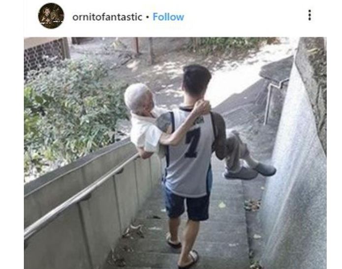 Foto que fue compartida en varias redes sociales. (Foto Prensa Libre: ornitofantastic en Instagram)