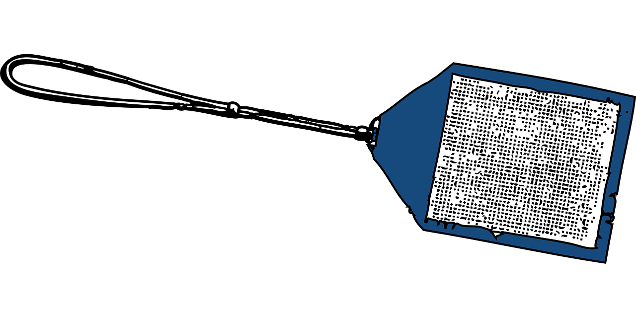 ¿Por qué siempre se nos escapan las moscas?