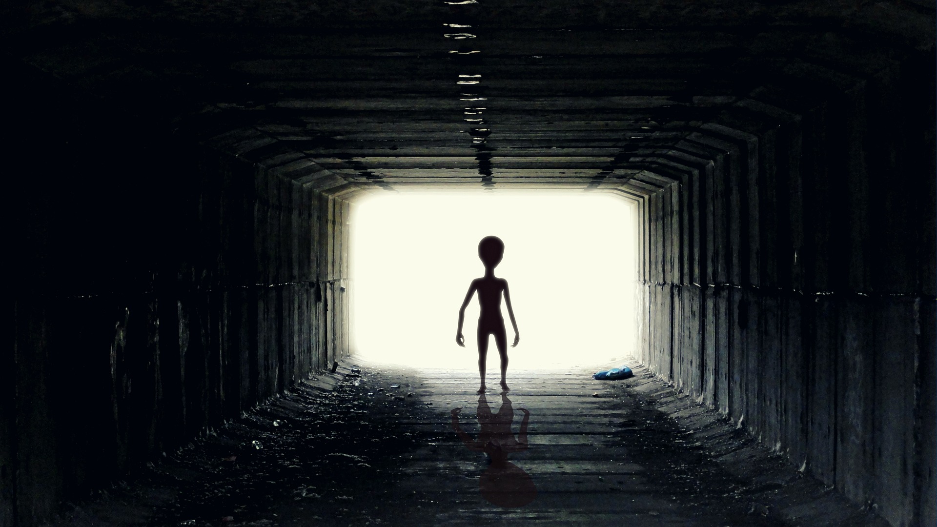 Un fotograma que representa la autopsia de un extraterrestre será subastado. (Foto Prensa Libre: Pixabay)