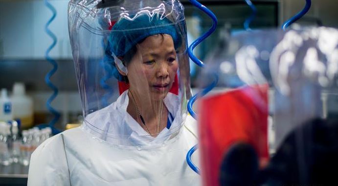 La viróloga Shi Zhengli, en su laboratorio. (Foto: AFP)