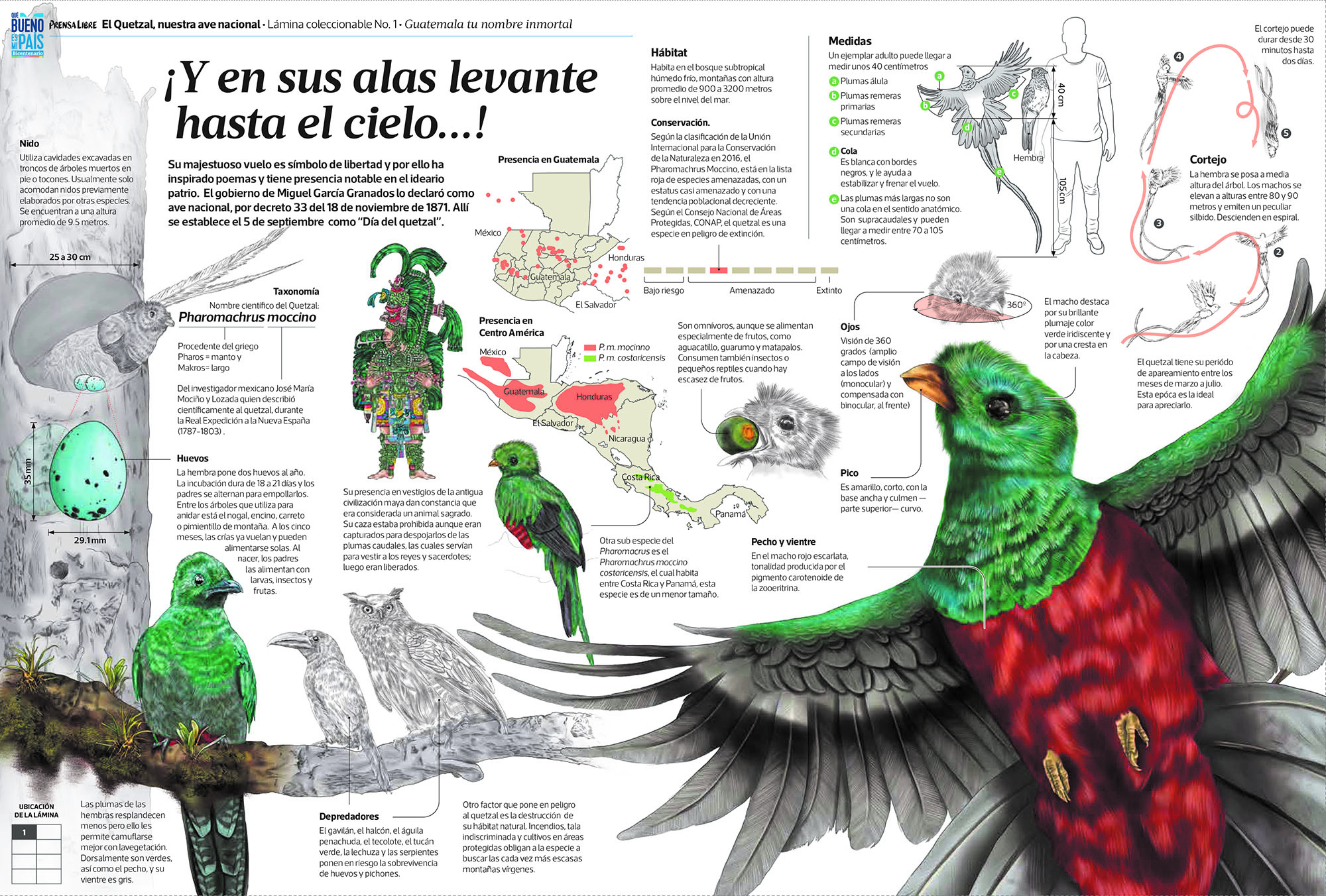 Un homenaje a la patria en su bicentenario