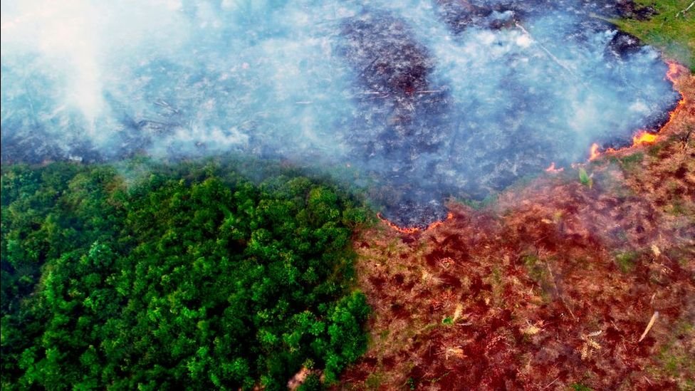 Investigadores vinculan los cambios en la selva amazónica con la deforestación. (GETTY IMAGES)
