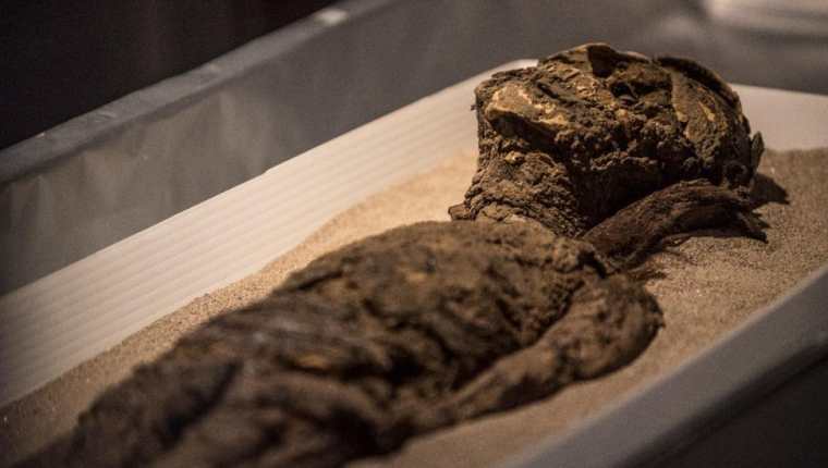 Tras más de 20 años de investigación, la Unesco incluyó a las momias de la cultura chinchorro en la Lista de Patrimonio Mundial.