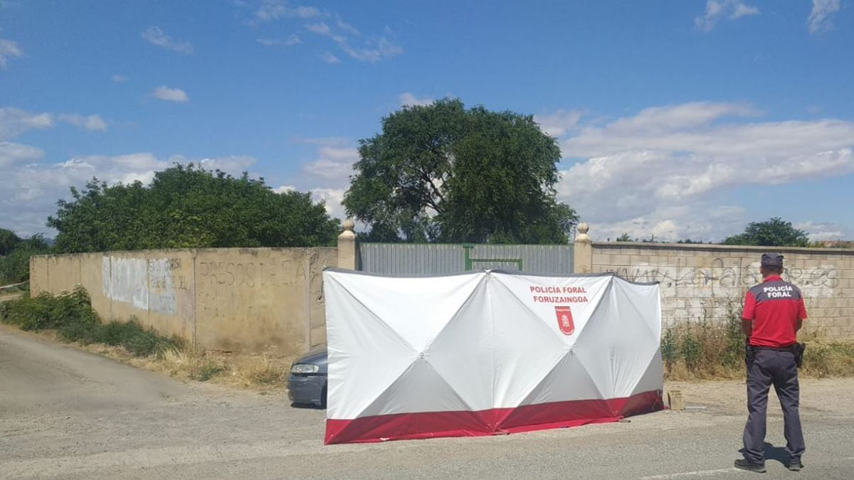 El hombre interceptó el vehículo de su víctima y luego la apuñaló varias veces. (Foto: navarra.elespanol.com). 