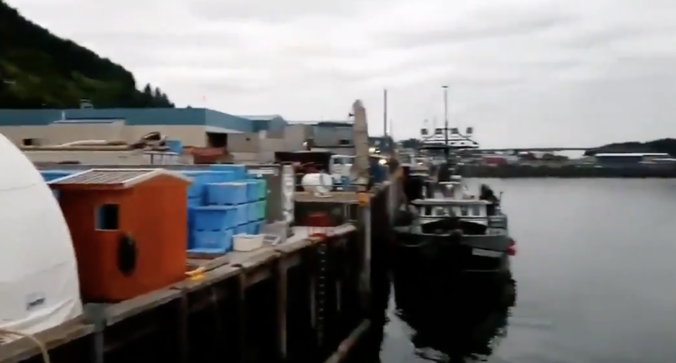 Los videos de estas alarmas llegaron a más personas por medio de las redes sociales. (Foto Prensa Libre: Twitter)