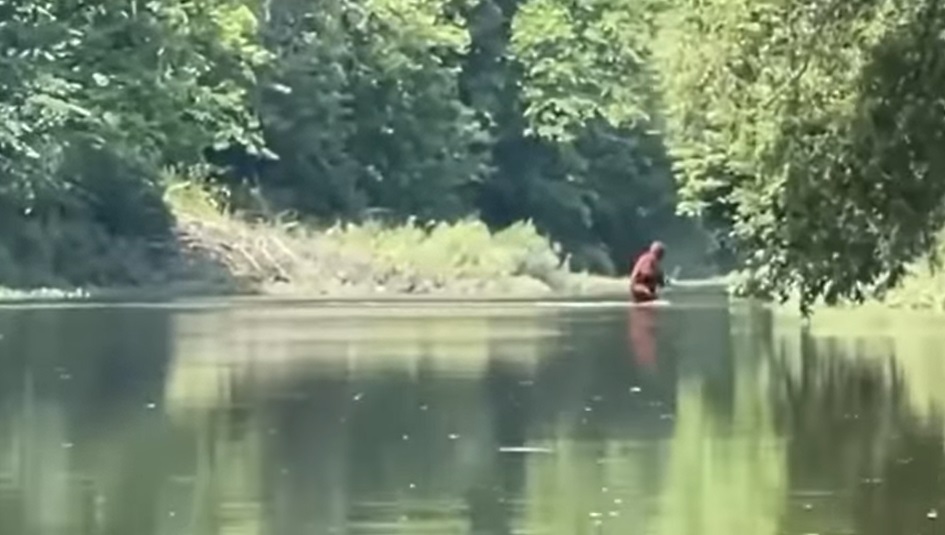 Captura de pantalla del video en el que supuestamente se ve a Pie Grande en el río Cass de Michigan, Estados Unidos. (Foto Prensa Libre: YouYube)